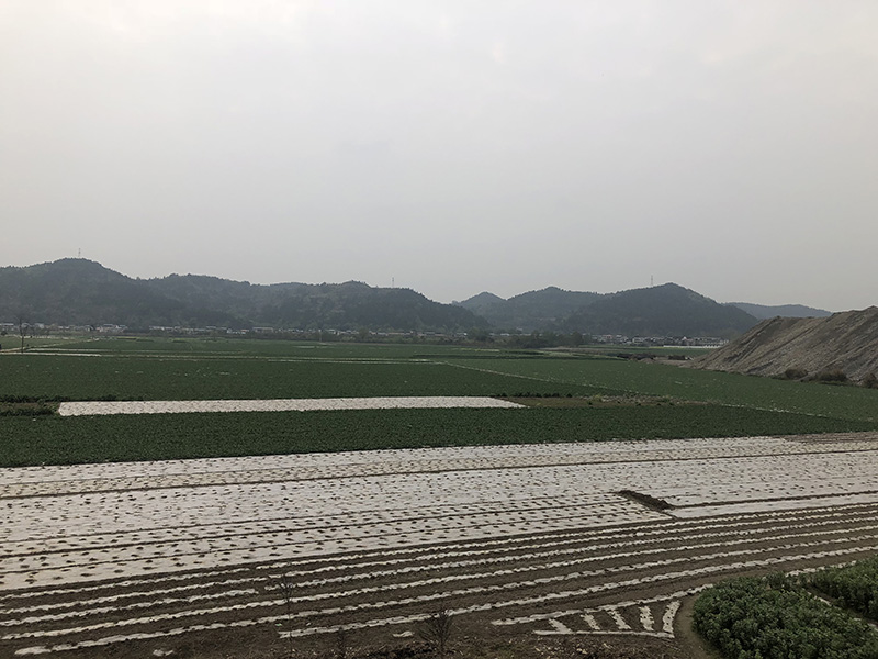 市、縣領(lǐng)導(dǎo)現(xiàn)場調(diào)研天馬50萬噸玻瓶項(xiàng)目(圖7)